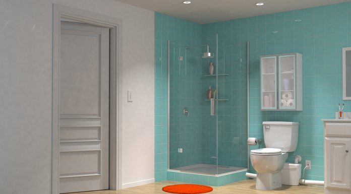 Jogar ou não papel na bacia sanitária?