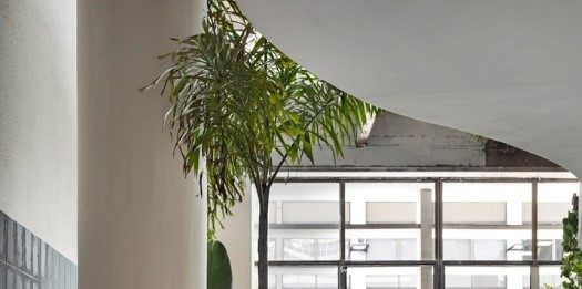 “Simplicidade Atenta” um jardim tropical em pleno ícone arquitetônico paulistano Projeto: Elaine Kalil e Gabriel Sabugosa |CASACOR SP Espaço Simplicidade Atenta | Paisagismo transmitindo a natureza tropical