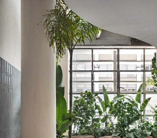 “Simplicidade Atenta” um jardim tropical em pleno ícone arquitetônico paulistano Projeto: Elaine Kalil e Gabriel Sabugosa |CASACOR SP Espaço Simplicidade Atenta | Paisagismo transmitindo a natureza tropical