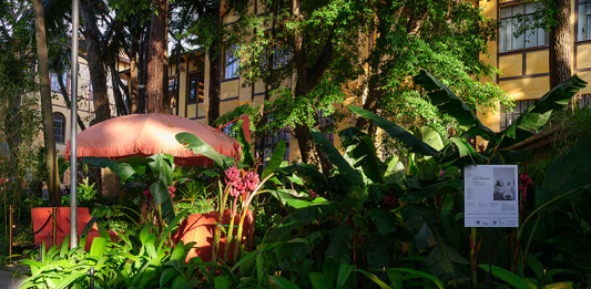 Casa Cor de pai pra filha: Gilberto e Caroline Elkis assinam jardim tropical na Casa Cor SP 2025 e celebram a nova fase do escritório ELKIS+ Projeto : ELKIS+ | CASACOR São Paulo| O Parque da Água Branca foi o cenário perfeito para receber o projeto de paisagismo na mostra neste ano.