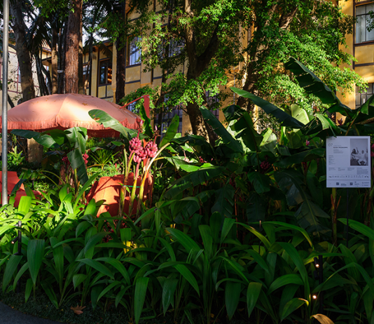 Casa Cor de pai pra filha: Gilberto e Caroline Elkis assinam jardim tropical na Casa Cor SP 2025 e celebram a nova fase do escritório ELKIS+ Projeto : ELKIS+ | CASACOR São Paulo| O Parque da Água Branca foi o cenário perfeito para receber o projeto de paisagismo na mostra neste ano.