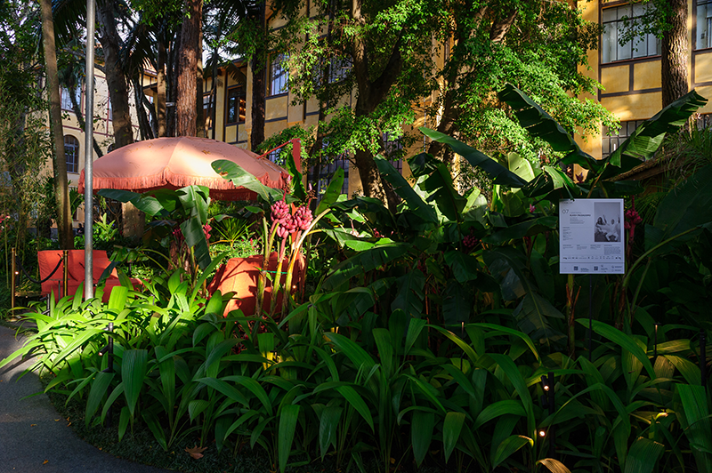 Projeto : ELKIS+ | CASACOR São Paulo| O Parque da Água Branca foi o cenário perfeito para receber o projeto de paisagismo na mostra neste ano.