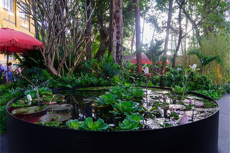 Projeto: ELKIS+ | CASACOR São Paulo | O jardim também cumpre um papel ecológico, com espécies nativas da Mata Atlântica e do Cerrado paulista, como pau-ferro e figueira, que atraem polinizadores e contribuem para a biodiversidade local.