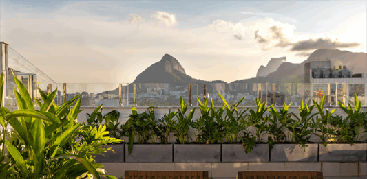 Entre o verde e a luz: paisagismo conecta cobertura à natureza com leveza e sutileza Com vista privilegiada para o Cristo Redentor, o paisagista utilizou elementos que valorizassem a vista com plantas que chegam até o guarda-corpo