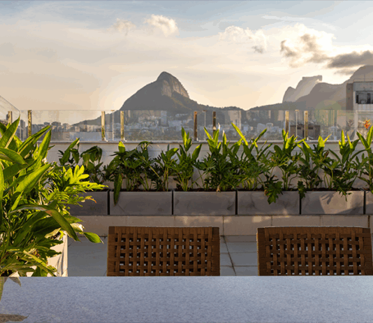 Entre o verde e a luz: paisagismo conecta cobertura à natureza com leveza e sutileza Com vista privilegiada para o Cristo Redentor, o paisagista utilizou elementos que valorizassem a vista com plantas que chegam até o guarda-corpo