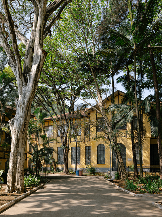 De volta ao Parque da Água Branca, a CASACOR São Paulo 2026 ocorre de 2 de junho a 9 de agosto